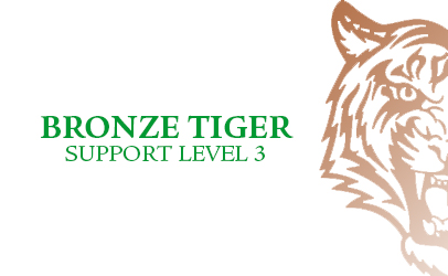 Bronze Tiger Level 3