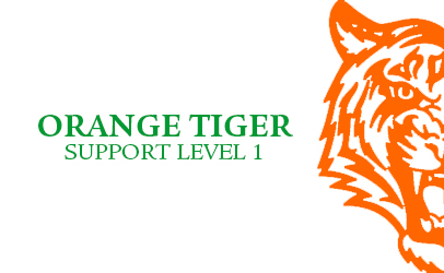 Orange Tiger Level 1